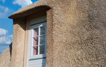 Leadhills thatch roof disadvantages